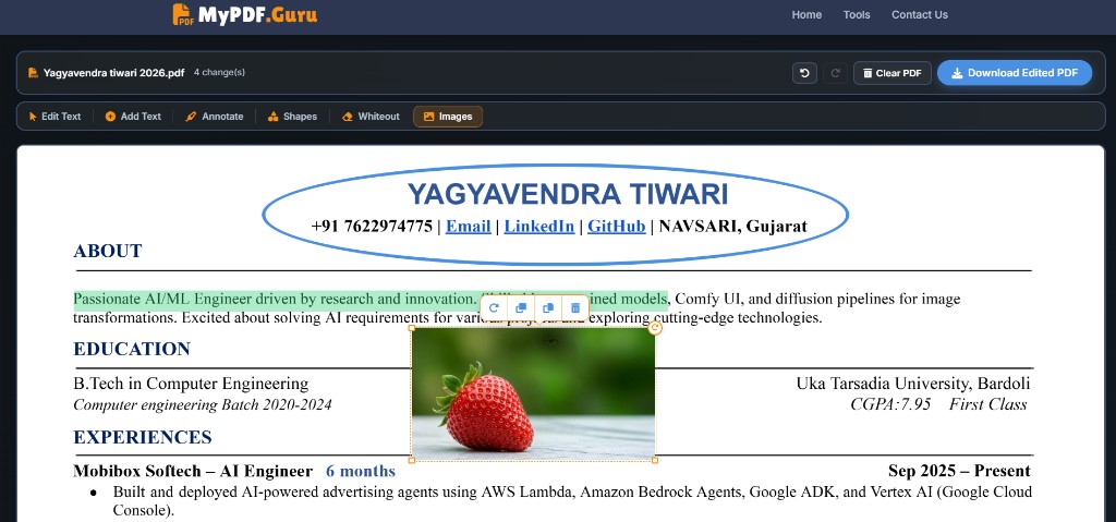 Images tool with an inserted picture selected on the PDF